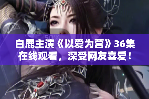 白鹿主演《以爱为营》36集在线观看，深受网友喜爱！