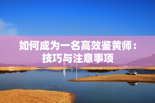 如何成为一名高效鉴黄师：技巧与注意事项