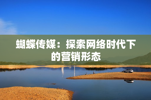 蝴蝶传媒：探索网络时代下的营销形态