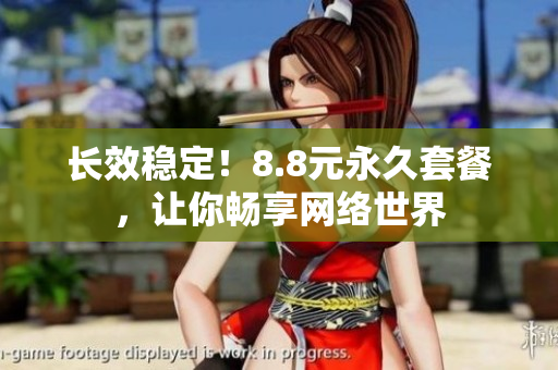 长效稳定！8.8元永久套餐，让你畅享网络世界