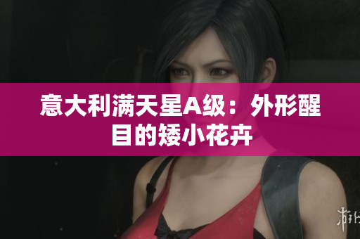 意大利满天星A级：外形醒目的矮小花卉