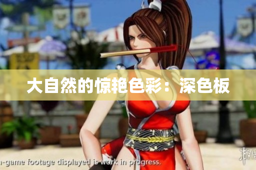 大自然的惊艳色彩：深色板