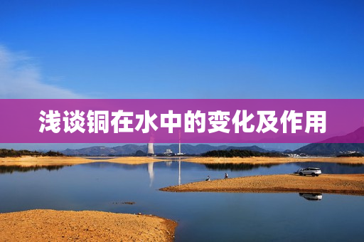 浅谈铜在水中的变化及作用