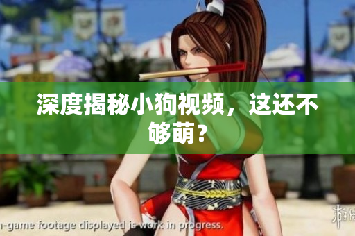 深度揭秘小狗视频，这还不够萌？