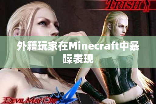 外籍玩家在Minecraft中暴躁表现