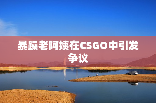 暴躁老阿姨在CSGO中引发争议