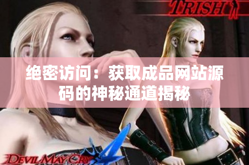 绝密访问：获取成品网站源码的神秘通道揭秘