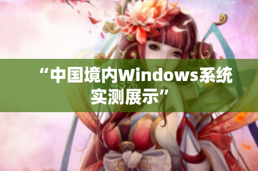 “中国境内Windows系统实测展示”