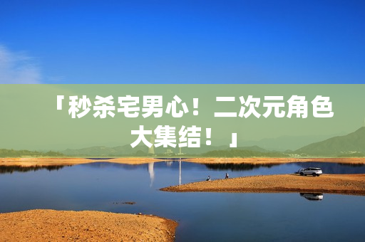 「秒杀宅男心！二次元角色大集结！」