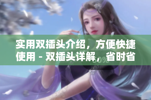 实用双插头介绍，方便快捷使用 - 双插头详解，省时省力又实用