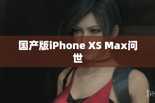 国产版iPhone XS Max问世