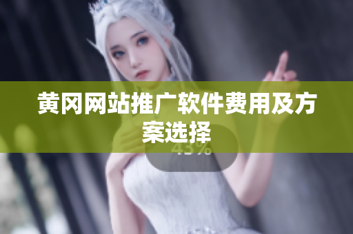 黄冈网站推广软件费用及方案选择