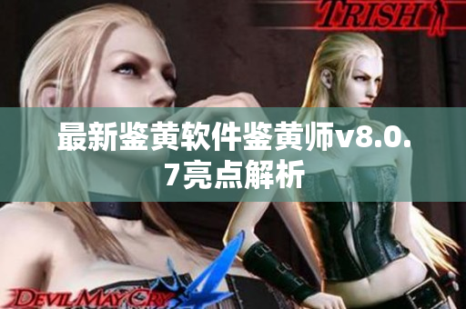 最新鉴黄软件鉴黄师v8.0.7亮点解析