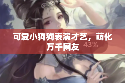 可爱小狗狗表演才艺，萌化万千网友