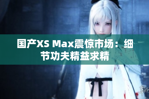 国产XS Max震惊市场：细节功夫精益求精