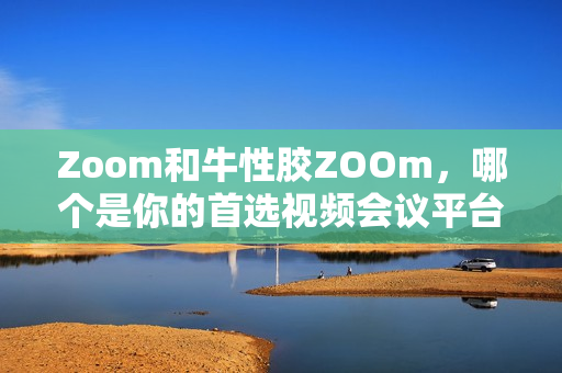 Zoom和牛性胶ZOOm，哪个是你的首选视频会议平台？