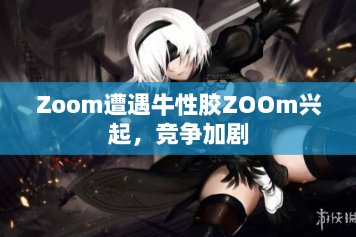 Zoom遭遇牛性胶ZOOm兴起，竞争加剧