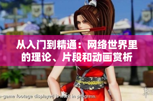 从入门到精通：网络世界里的理论、片段和动画赏析