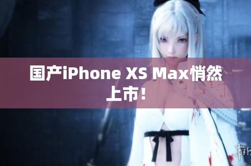 国产iPhone XS Max悄然上市！