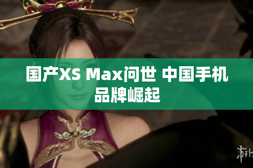 国产XS Max问世 中国手机品牌崛起