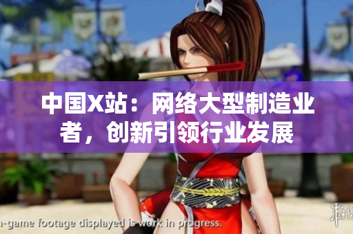 中国X站：网络大型制造业者，创新引领行业发展