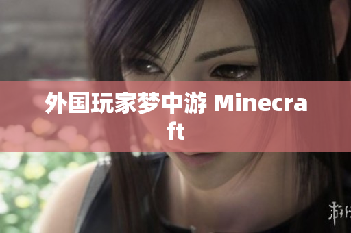 外国玩家梦中游 Minecraft