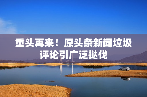 重头再来！原头条新闻垃圾评论引广泛挞伐