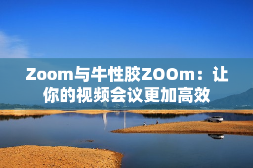 Zoom与牛性胶ZOOm：让你的视频会议更加高效