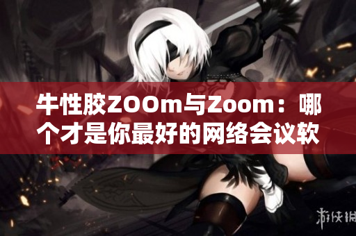 牛性胶ZOOm与Zoom：哪个才是你最好的网络会议软件选择？