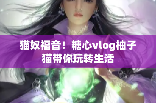 猫奴福音！糖心vlog柚子猫带你玩转生活