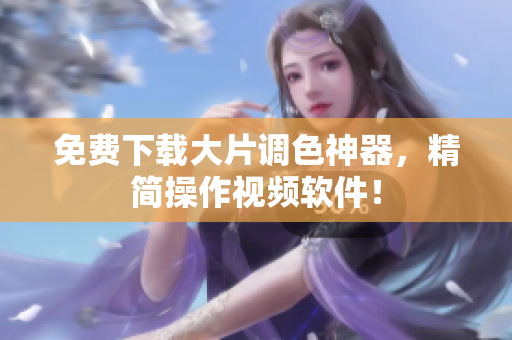 免费下载大片调色神器，精简操作视频软件！
