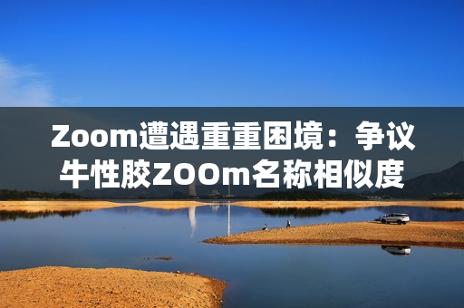 Zoom遭遇重重困境：争议牛性胶ZOOm名称相似度