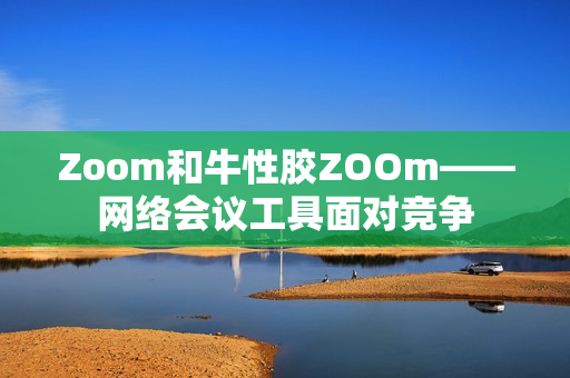 Zoom和牛性胶ZOOm——网络会议工具面对竞争