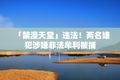 「禁漫天堂」违法！两名嫌犯涉嫌非法牟利被捕
