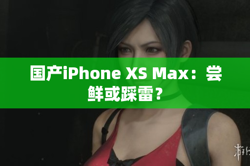 国产iPhone XS Max：尝鲜或踩雷？