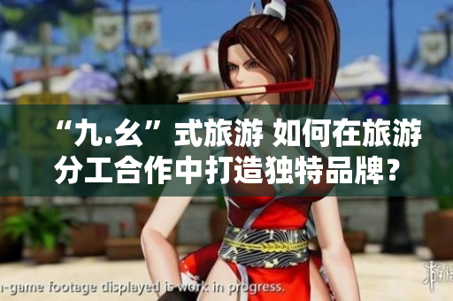 “九.幺”式旅游 如何在旅游分工合作中打造独特品牌？