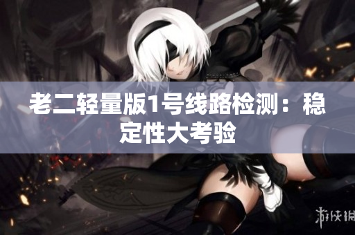 老二轻量版1号线路检测：稳定性大考验