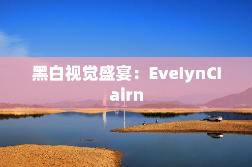 黑白视觉盛宴：EveIynCIairn