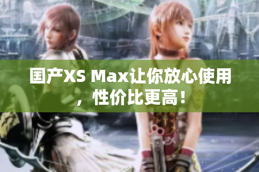国产XS Max让你放心使用，性价比更高！