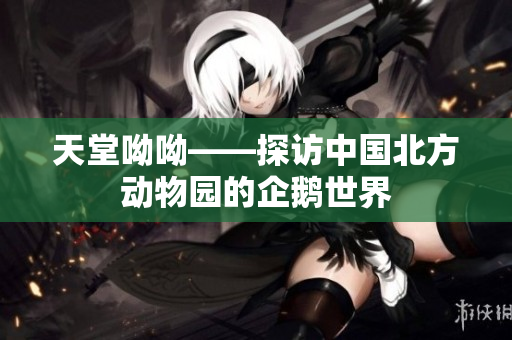 天堂呦呦——探访中国北方动物园的企鹅世界