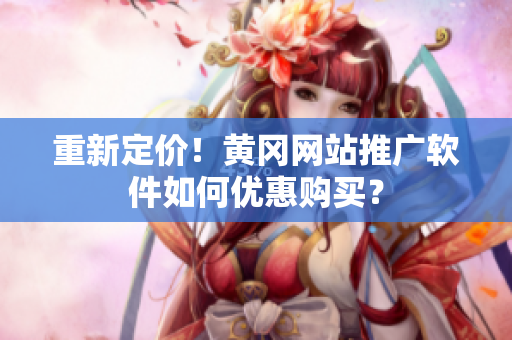 重新定价！黄冈网站推广软件如何优惠购买？