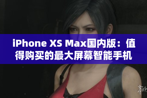iPhone XS Max国内版：值得购买的最大屏幕智能手机