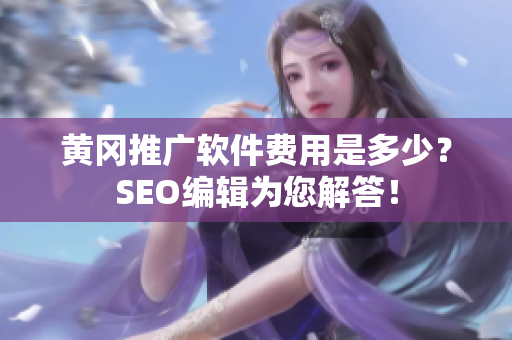 黄冈推广软件费用是多少？SEO编辑为您解答！