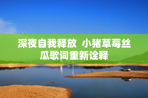 深夜自我释放  小猪草莓丝瓜歌词重新诠释