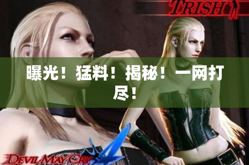 曝光！猛料！揭秘！一网打尽！