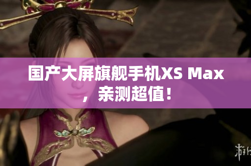 国产大屏旗舰手机XS Max，亲测超值！