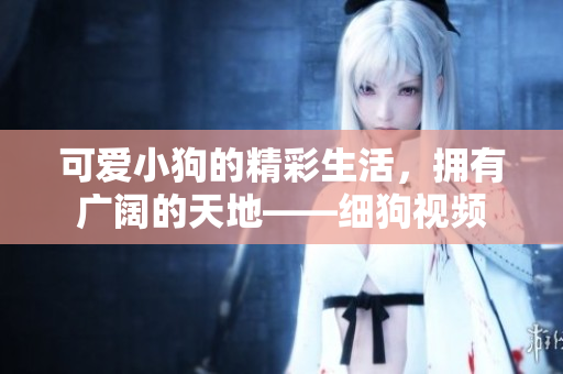 可爱小狗的精彩生活，拥有广阔的天地——细狗视频