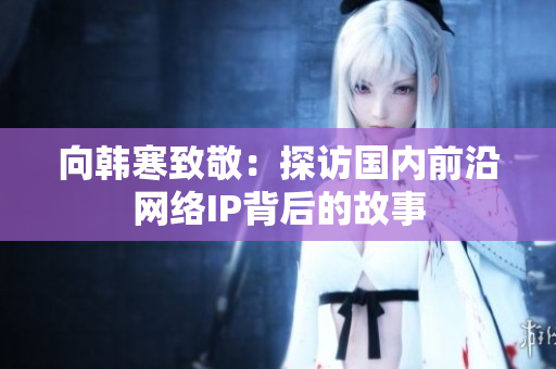 向韩寒致敬：探访国内前沿网络IP背后的故事