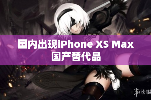 国内出现iPhone XS Max国产替代品