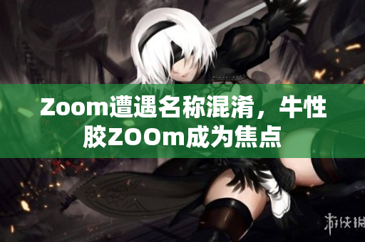 Zoom遭遇名称混淆，牛性胶ZOOm成为焦点